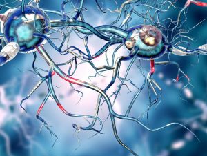 What is Huntington's Disease